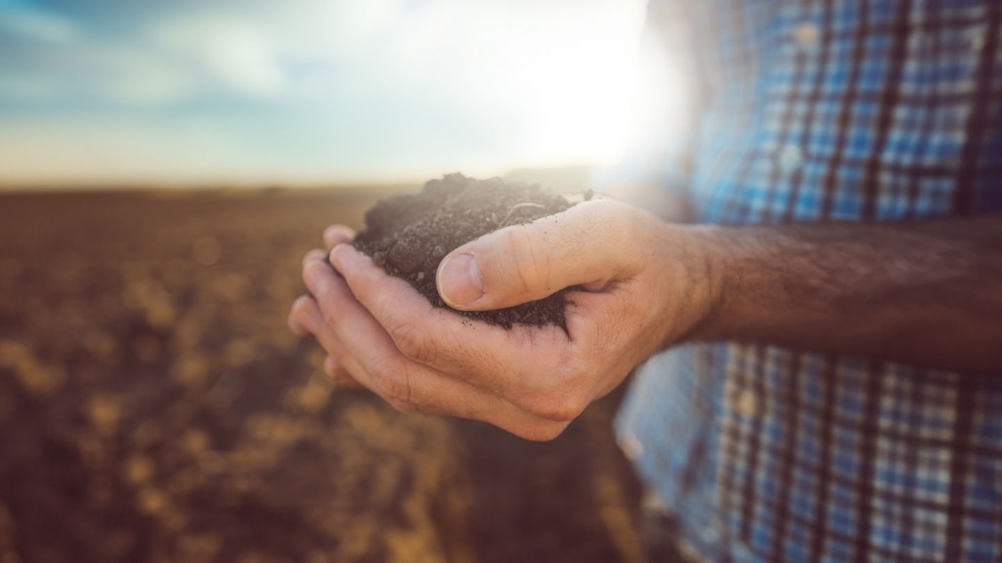 фермер държи почва в ръката си