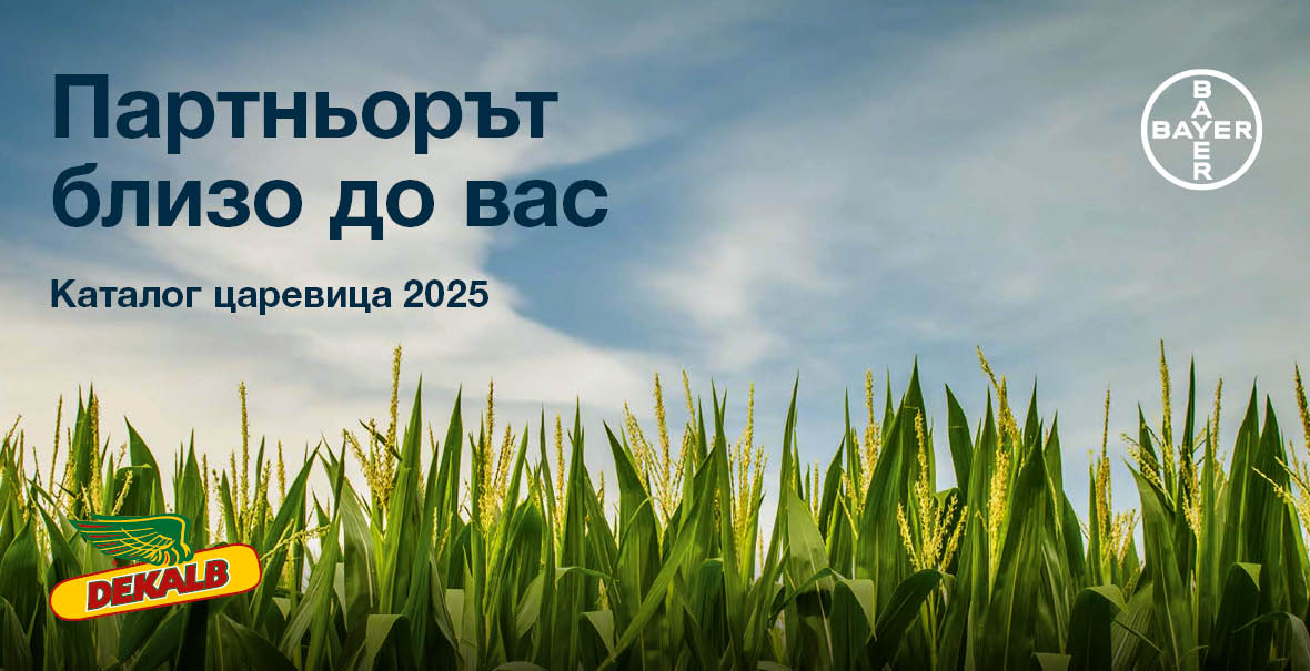 Банер Каталог царевица 2025