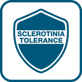 Толерантност на Склеротиния